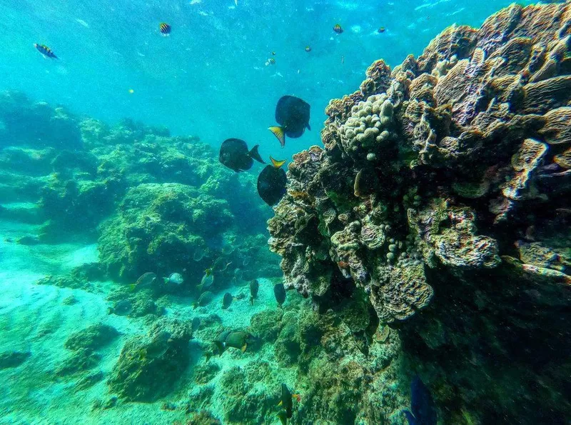 Snorkeling in Playa Santa, Puerto Rico