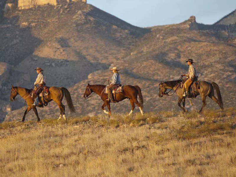 Horseback