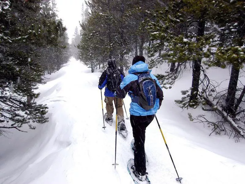 Snowshoeing