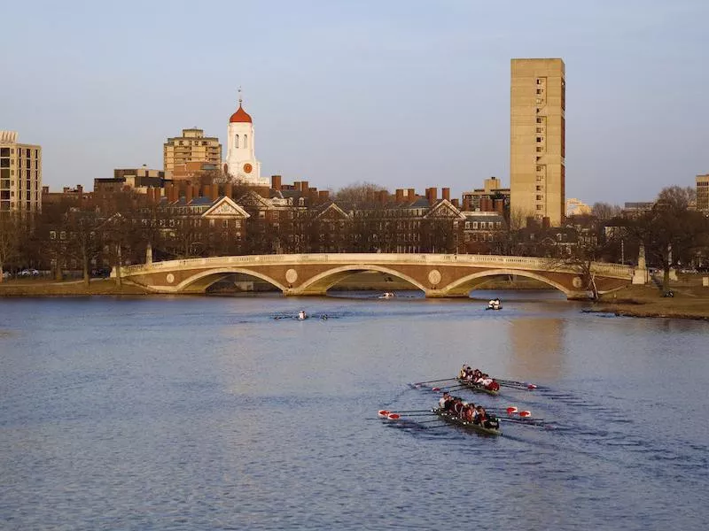 Sculling